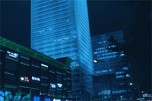 数字技能对未来上海就业的必要性 数字技能对未来上海就业的必要性